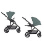 Anex Modu single MD-02 Greeny