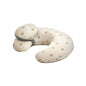 Jane Lactancy Cushion U78 BOTANIC